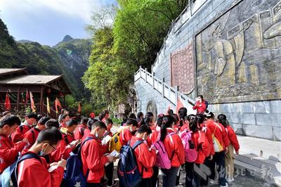 研學旅行 走進自然大課堂